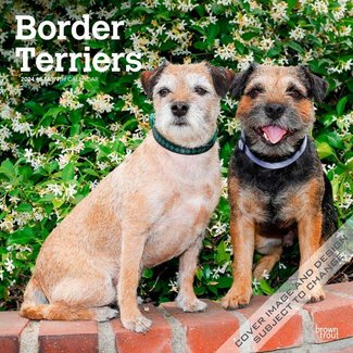 Browntrout Border Terrier Kalender 2024