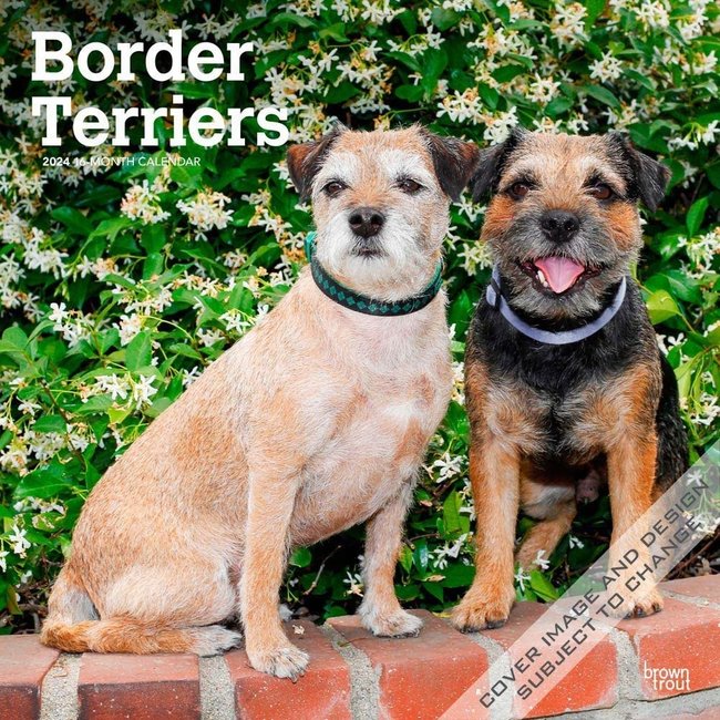 Border Terrier Calendar 2025