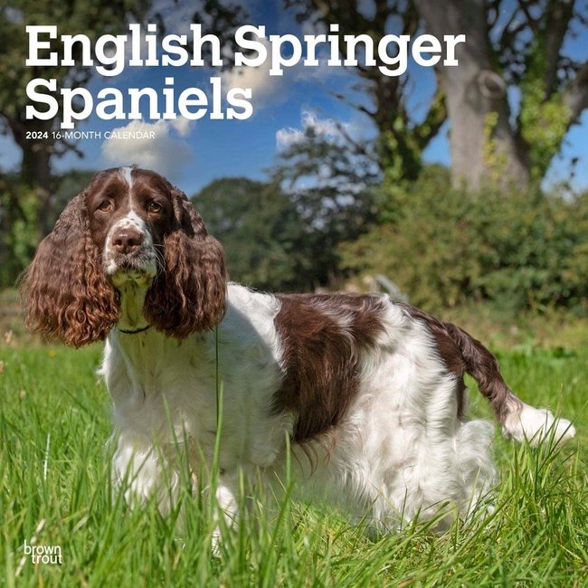 Browntrout English Springer Spaniel Calendar 2025