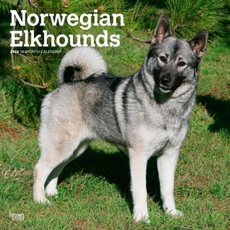 Browntrout Norwegian Moose Dog Calendar 2025