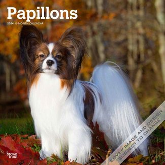 Browntrout Papillon Kalender 2024