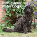 Browntrout Portugiesischer Wasserhund Kalender 2025