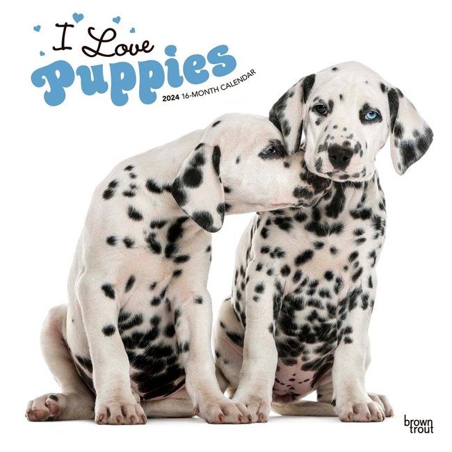 Browntrout I Love Puppies Calendar 2025