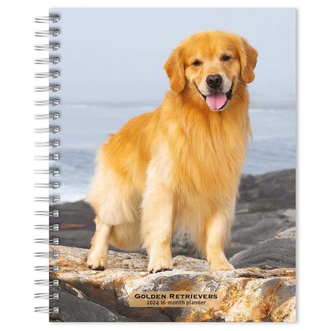 Browntrout Golden Retriever Agenda 2024