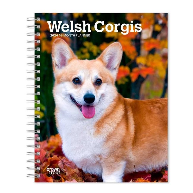 Browntrout Welsh Corgi Agenda 2024