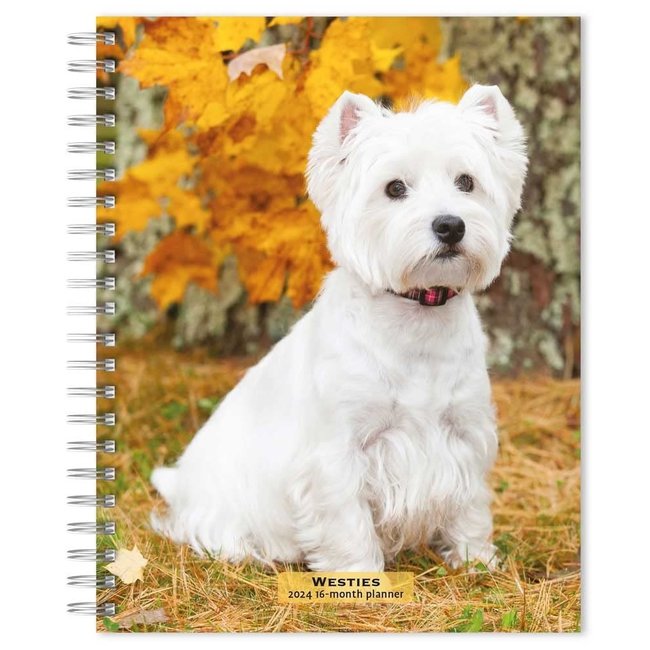 Browntrout West Highland White Terrier Agenda 2024