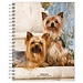 Browntrout Yorkshire Terrier Agenda 2024