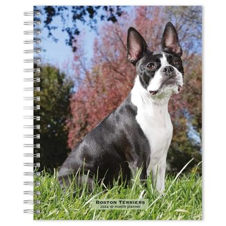 Browntrout Boston Terrier Agenda 2024