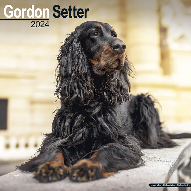 Avonside Gordon Setter Calendar 2024