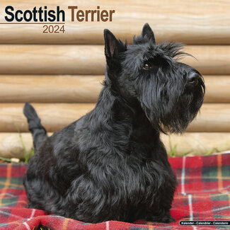 Avonside Scottish Terrier Kalender 2024