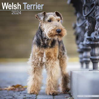 Avonside Welsh Terrier Calendar 2025