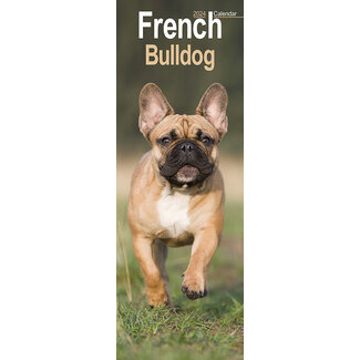 Avonside French Bulldog Calendar 2024 Slimline
