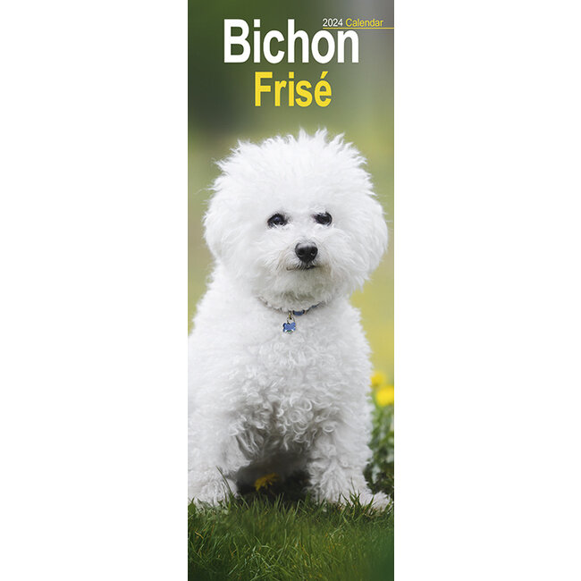 Bichon Frise Calendar 2024 Slimline