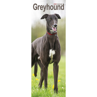 Avonside Greyhound Kalender 2024 Slimline