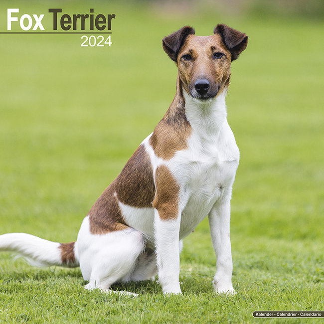Avonside Fox Terrier Calendar 2024
