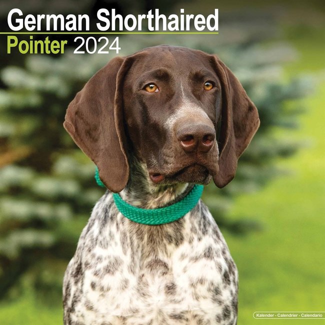German Standing Calendar 2024