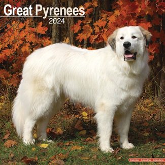 Browntrout Pyrenean Mountain Dog Calendar 2024