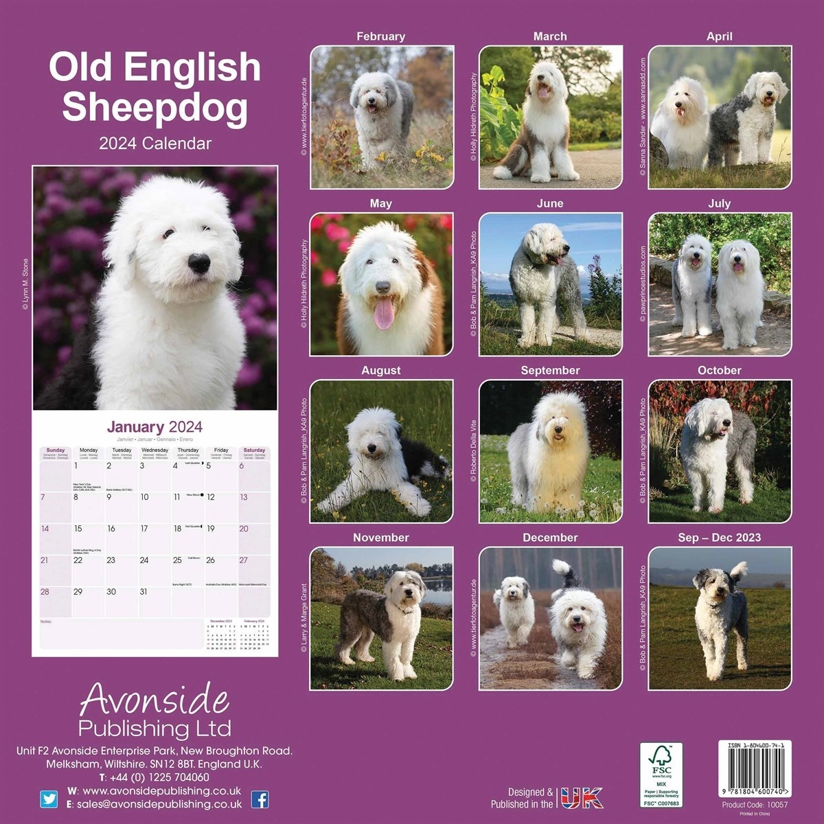 Avonside Bobtail / Old English Sheepdog Calendar 2024 Hondenkalenders.nl