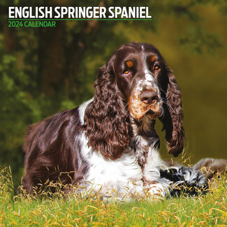 Magnet & Steel Engelse Springer Spaniel Kalender 2024