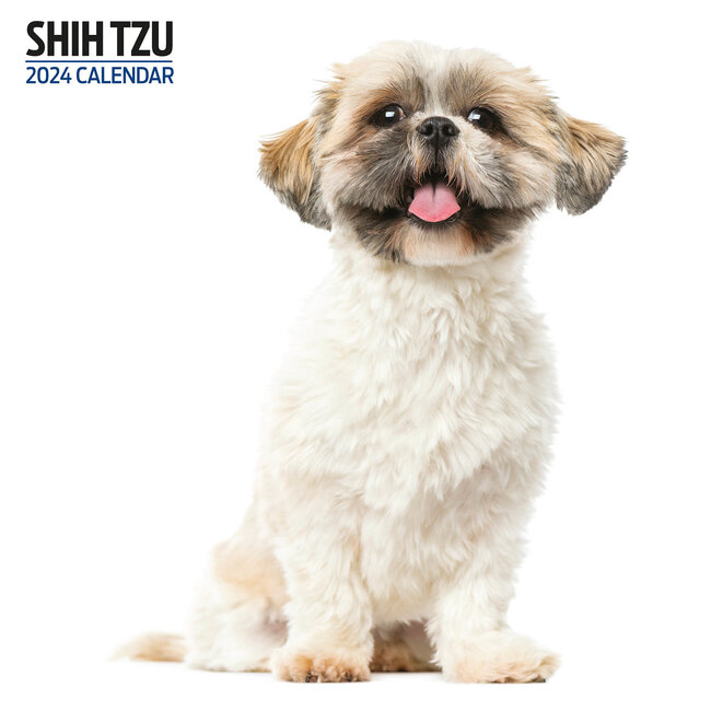 Buying Shih Tzu Calendar 2024 Slimline Simply Order Online