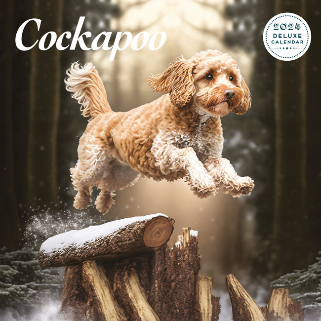 Cockapoo Kalender 2024 Deluxe