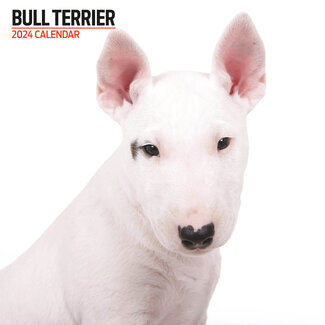 Magnet & Steel Bull Terrier Calendar 2024 Modern