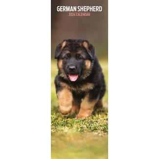 Magnet & Steel German Shepherd Calendar 2025 Slimline