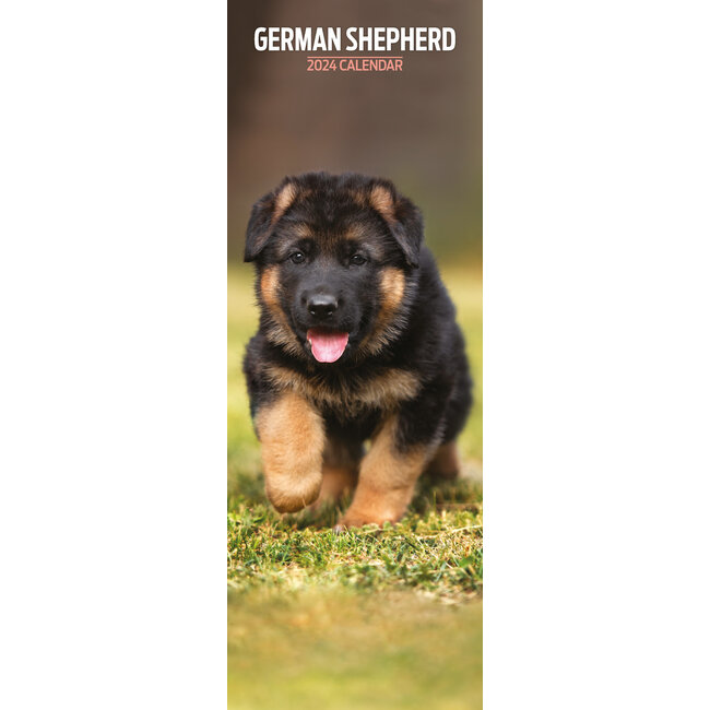 German Shepherd Calendar 2025 Slimline