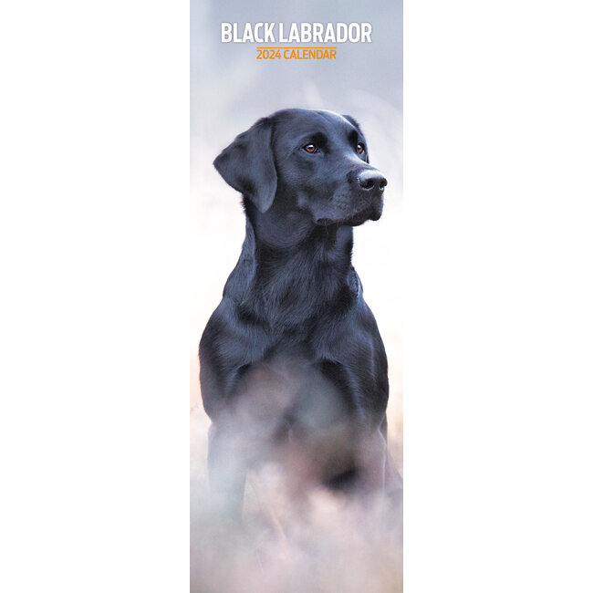 Magnet & Steel Labrador Retriever Calendar Black 2024 Slimline