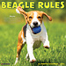 Willow Creek Beagle Rules Kalender 2024