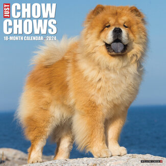 Willow Creek Chow Chow Kalender 2024