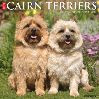 Willow Creek Cairn Terrier Kalender 2024
