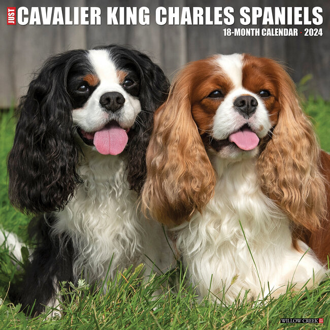 Willow Creek Cavalier King Charles Spaniel Kalender 2024
