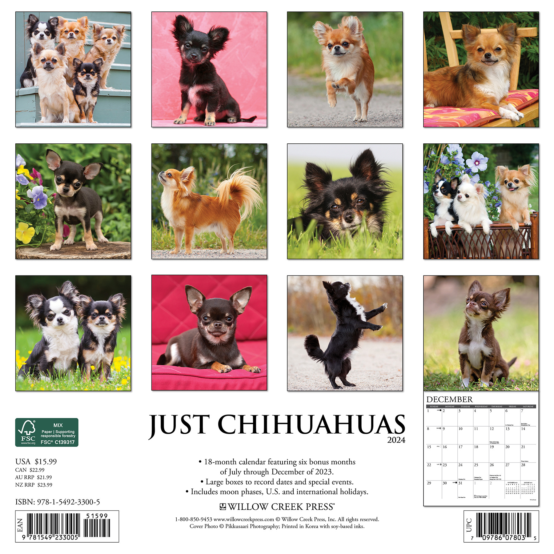 Chihuahua Kalender 2024 Kopen? Bestel eenvoudig Online