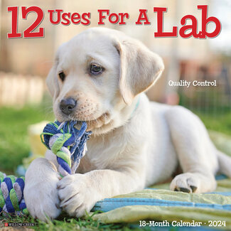 Willow Creek 12 Uses for a Lab Calendar 2024