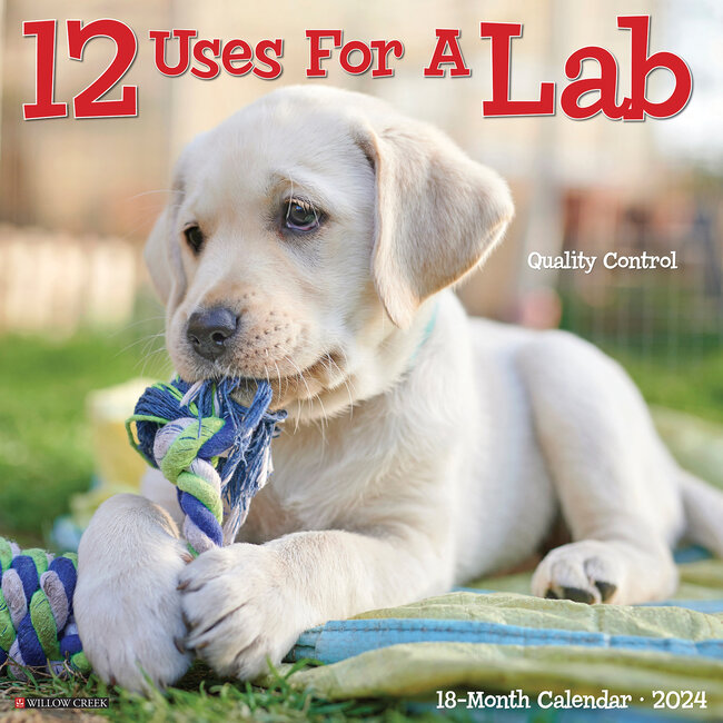 12 Uses for a Lab Kalender 2024