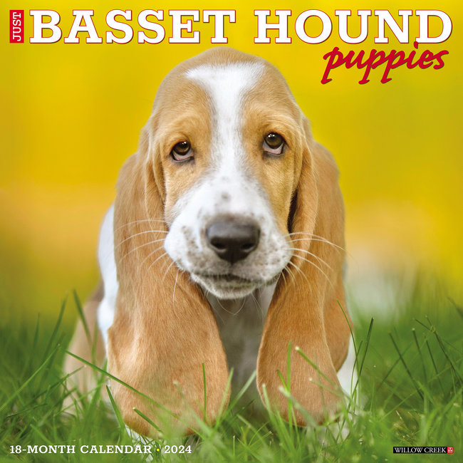 Basset Hound Puppies Calendar 2025