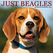 Willow Creek Beagle-Kalender 2024