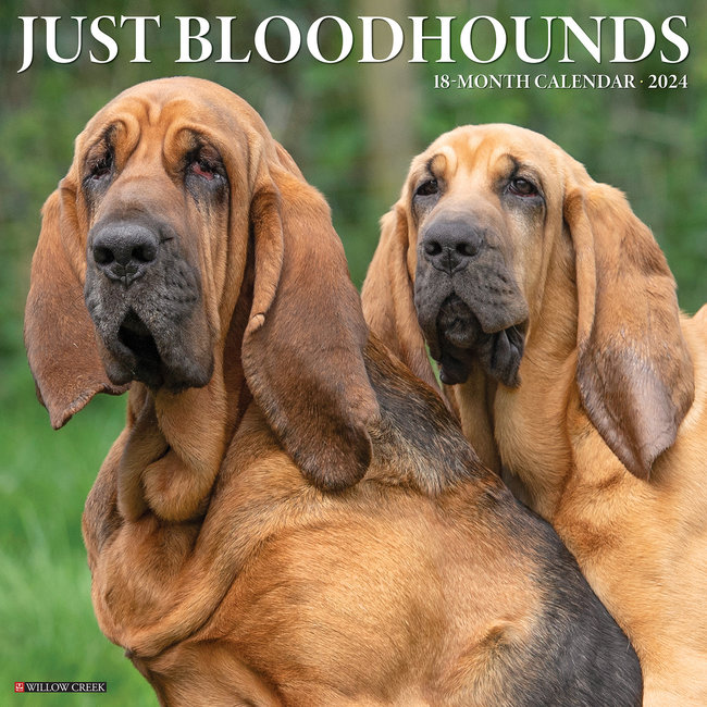 Bloodhound Calendar 2024