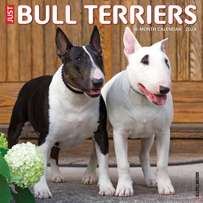 Bull Terrier Calendar 2024