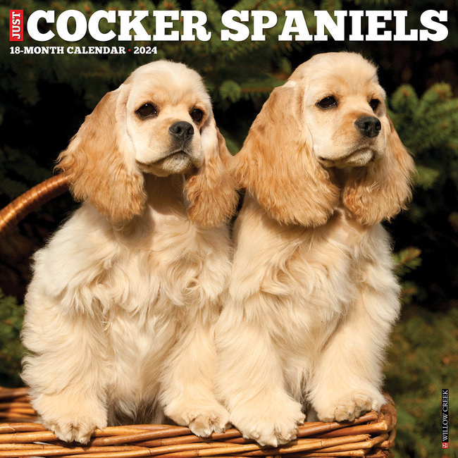 American Cocker Spaniel Calendar 2024