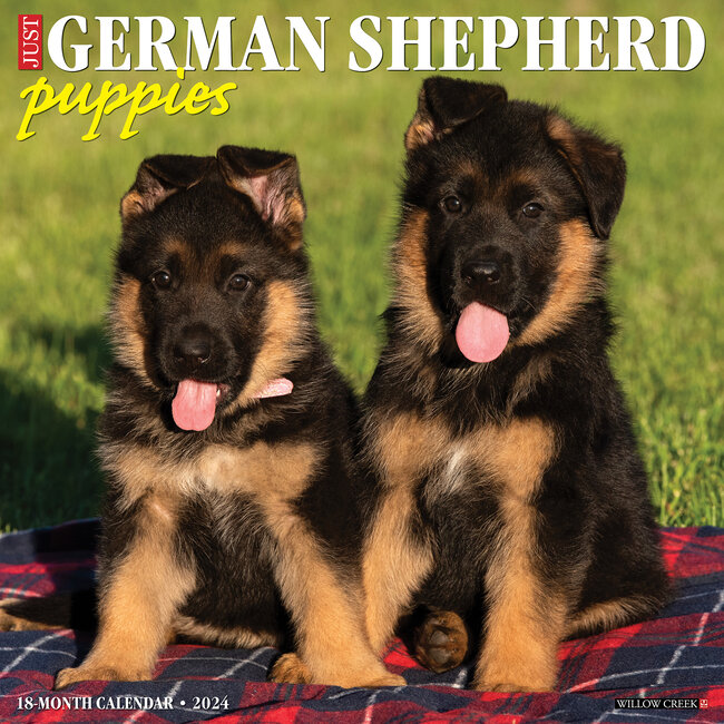 German Shepherd Puppies Calendar 2024