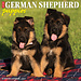 Willow Creek German Shepherd Puppies Calendar 2024