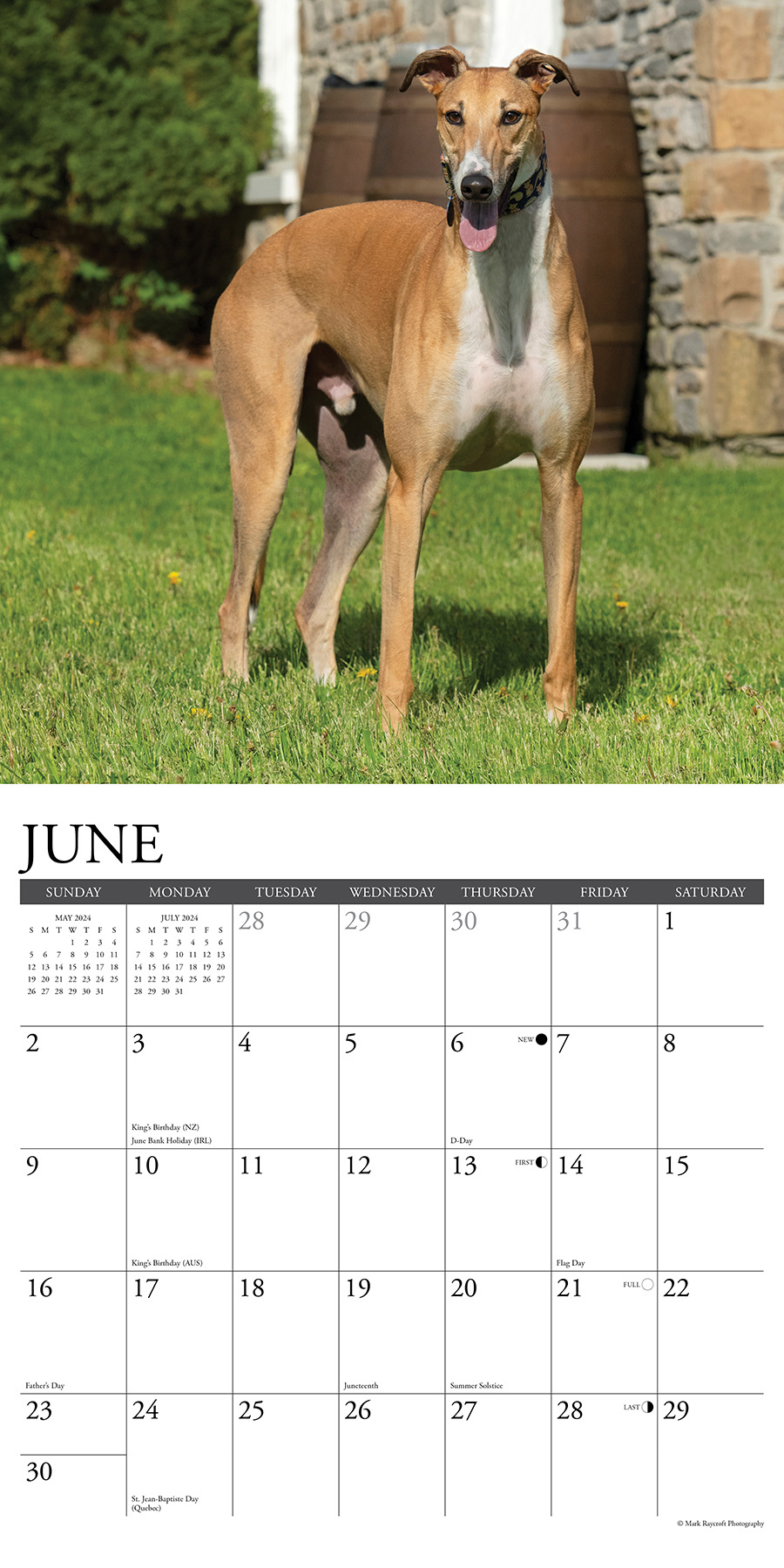 Willow Creek Greyhound Calendar 2024 Hondenkalenders.nl