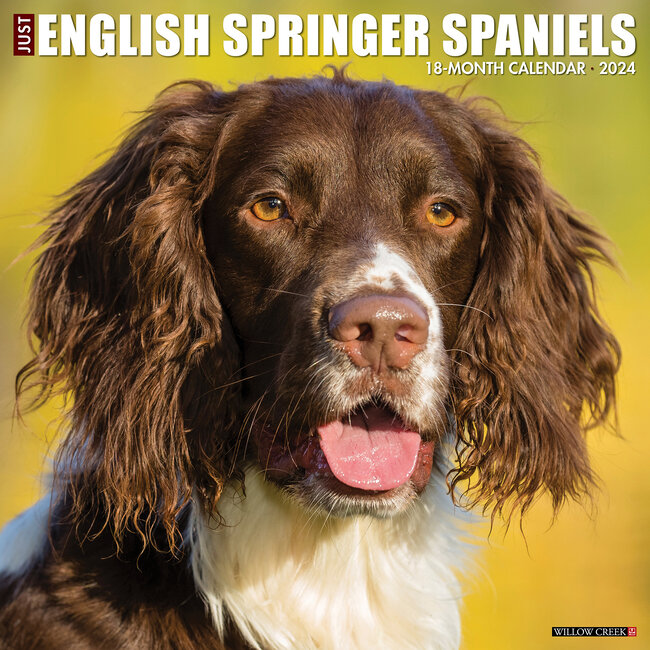 English Springer Spaniel Calendar 2024