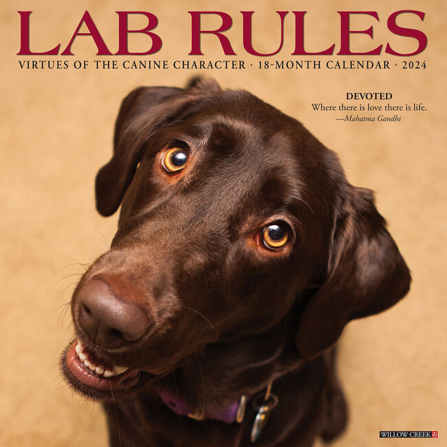 Lab Rules Calendar 2024