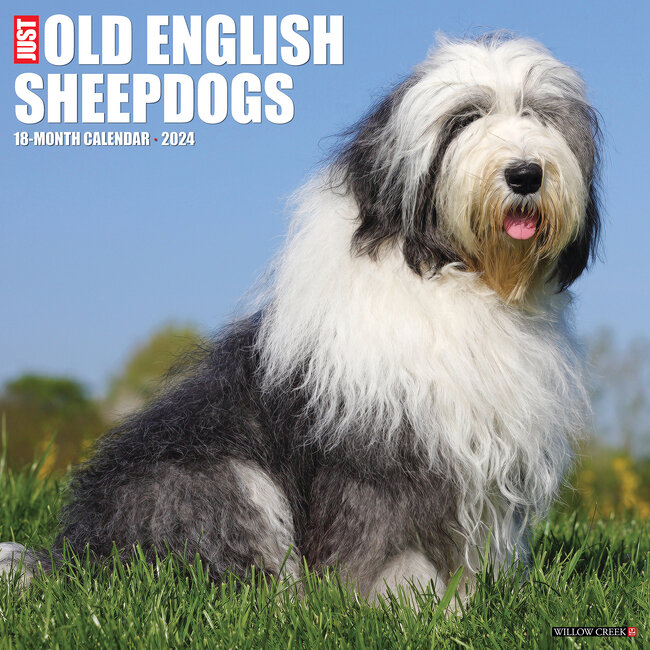 Willow Creek Bobtail / Old English Sheepdog Kalender 2024