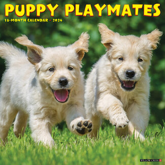 Willow Creek Puppy Playmates Calendar 2025