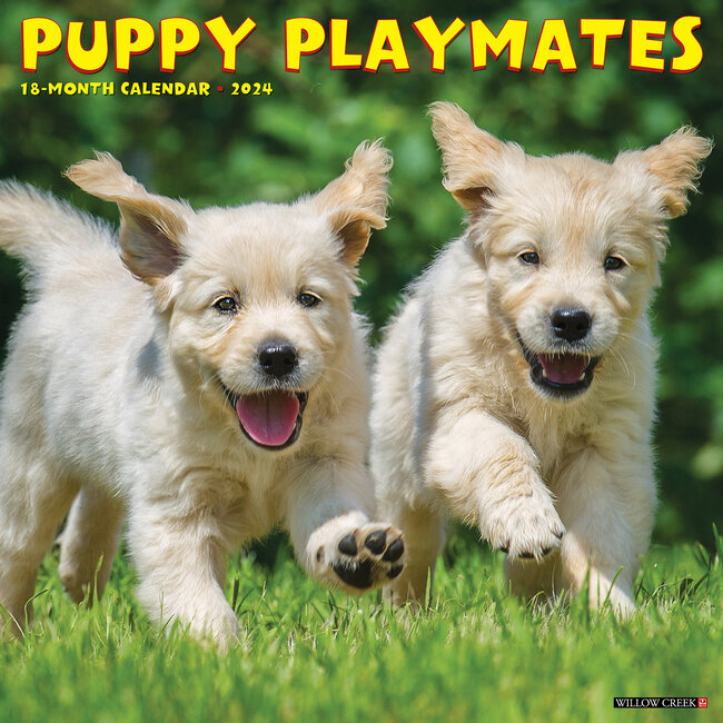Puppy Playmates Calendar 2025