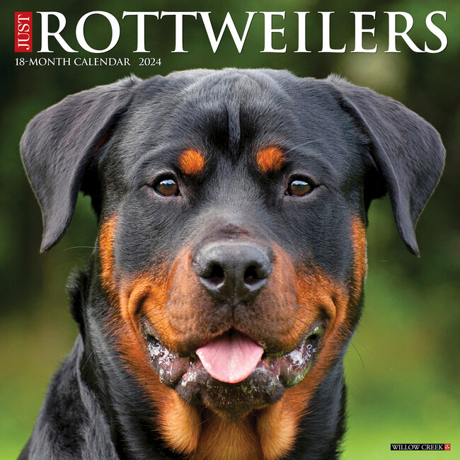 Rottweiler Calendar 2024